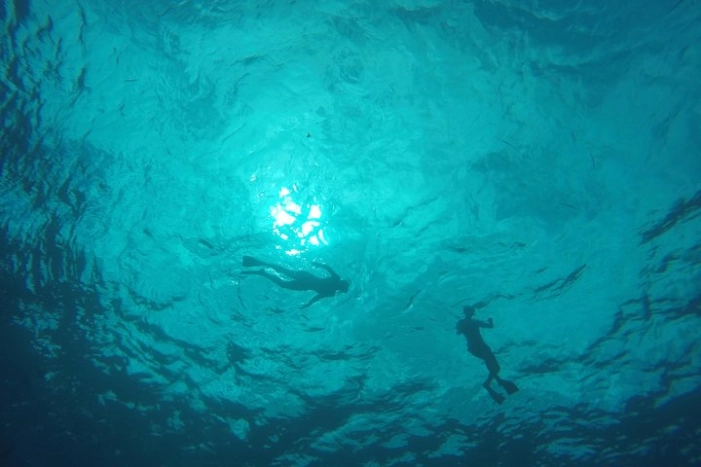 Image 8
