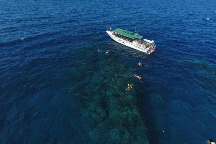 Half Day Snorkel to Lanai from Kaanapali Beach + Dolphin Search 
