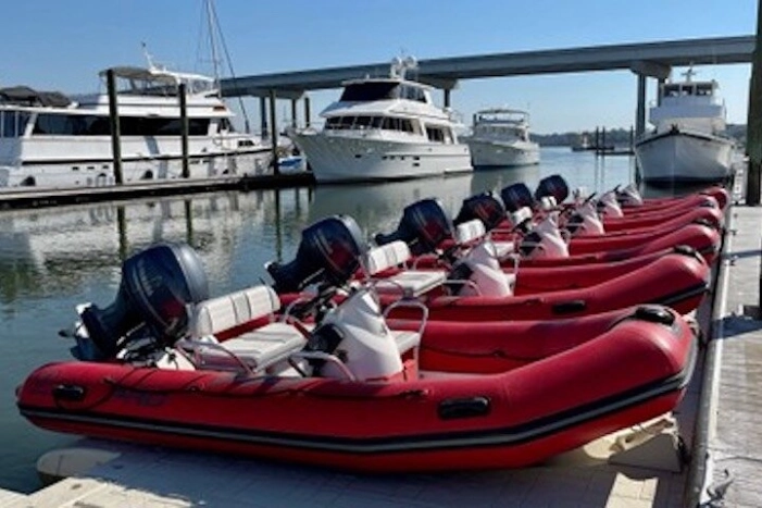 Hilton Head Guided Dolphin Watching & Sightseeing Tour via Mini Boat