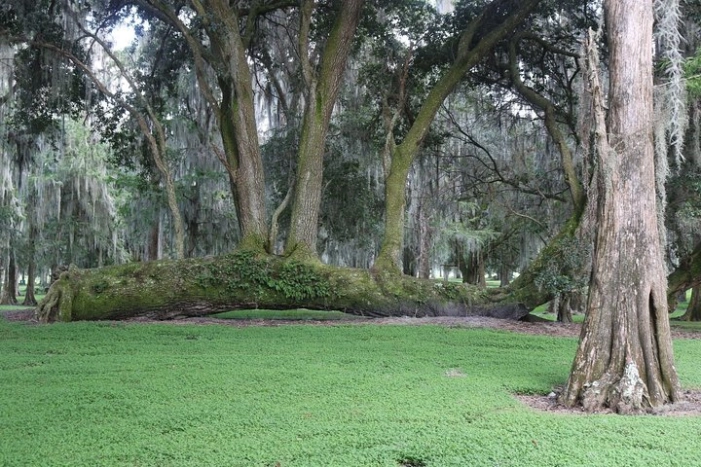 Image 18
