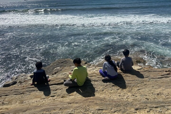 Point Loma Tide Pool Tour
