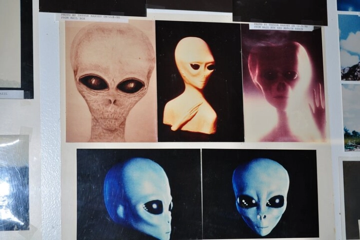 Image 7
