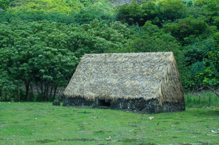 Image 19