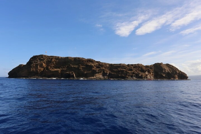 Image 13
