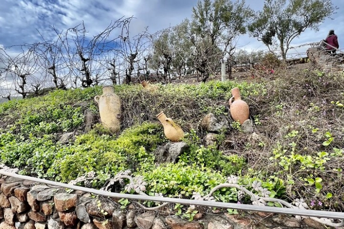 Image 14