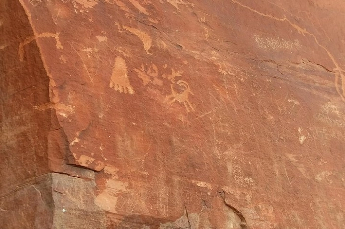 Image 8