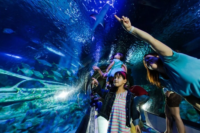 SEA LIFE Aquarium Arizona Admission Ticket