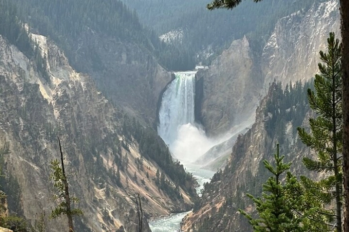 Image 12
