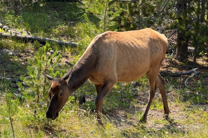 Image 18