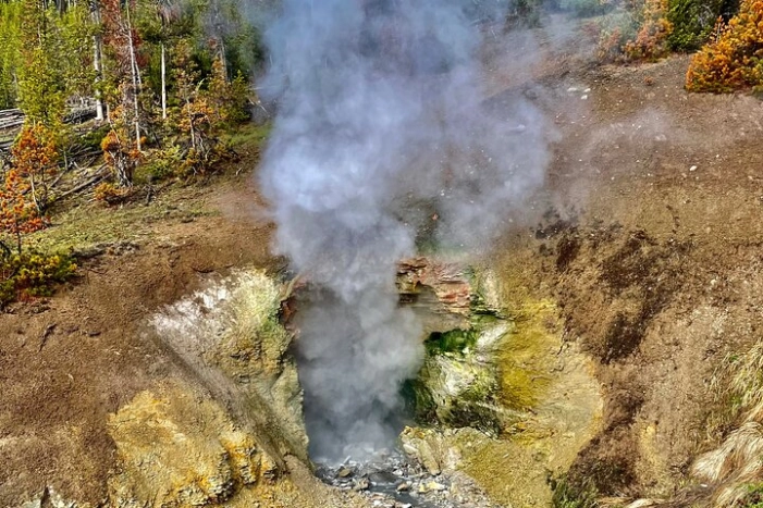 Image 15