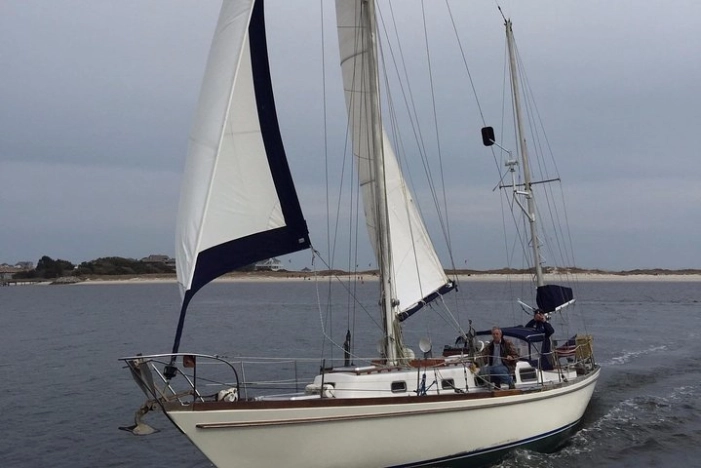 Image 5