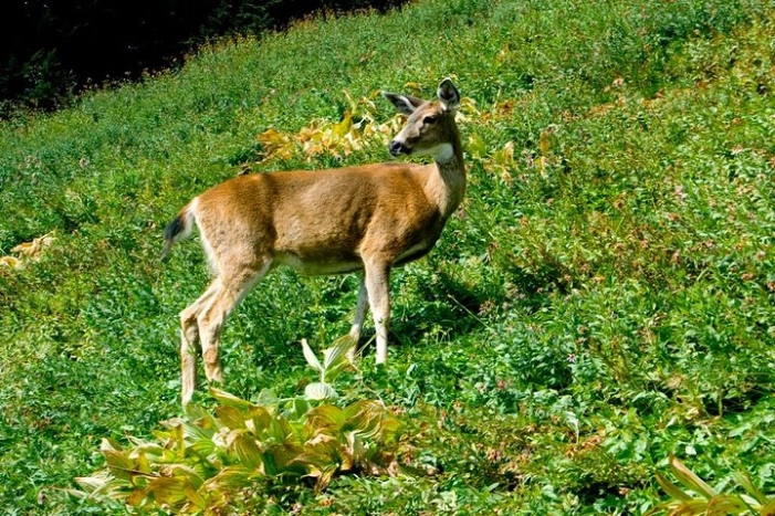 Image 14