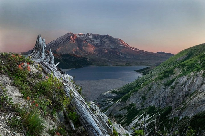 Image 11
