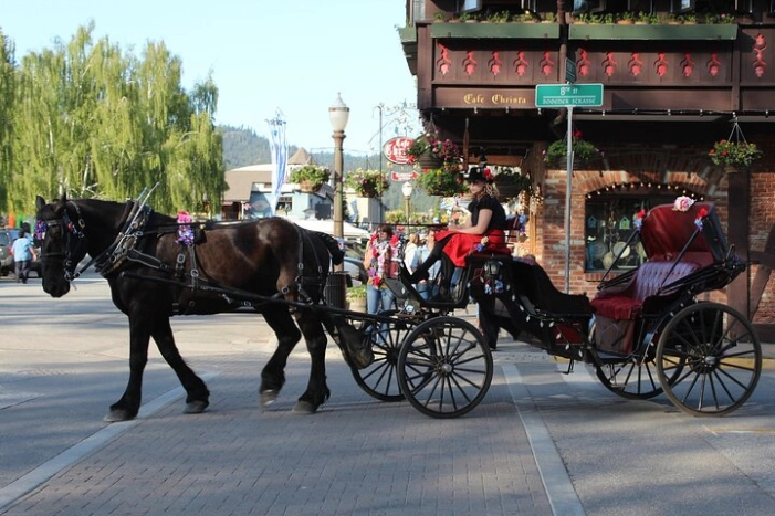 Full Day Leavenworth and Cascade Mountain Adventure Tour