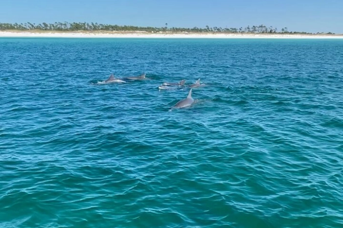 Image 7