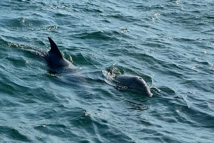 Image 10