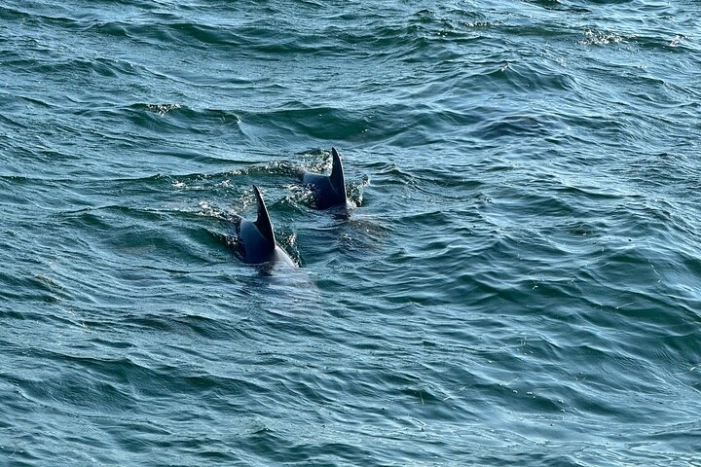 Image 12