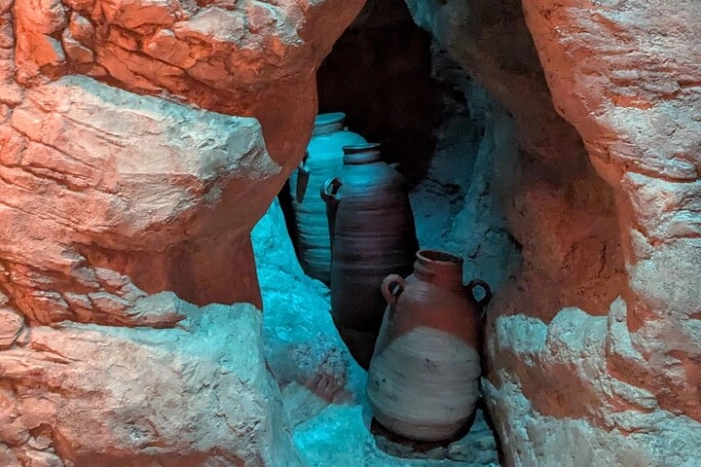 Image 11