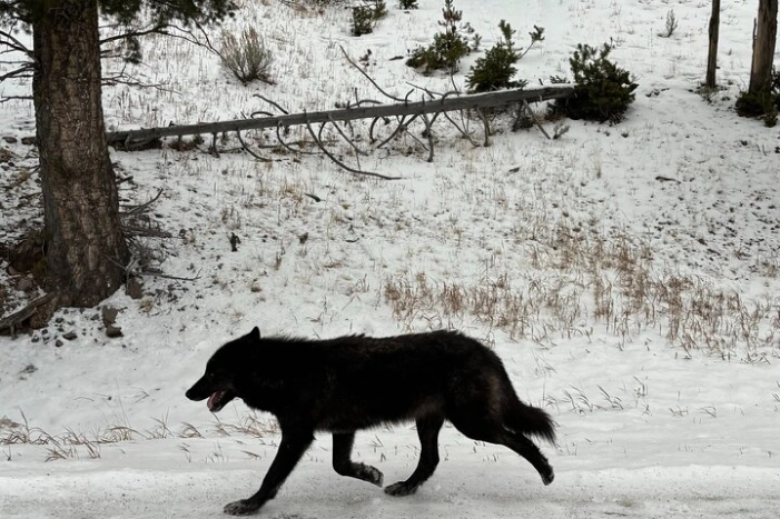 Image 9