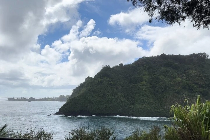 Image 12