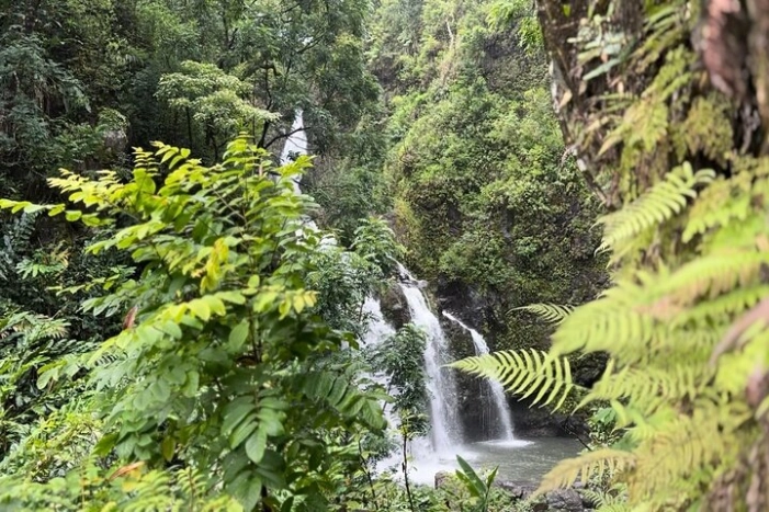 Image 15