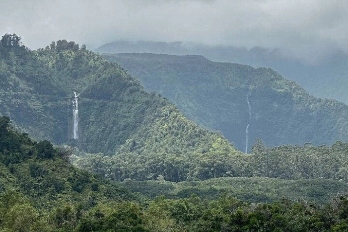 Image 14