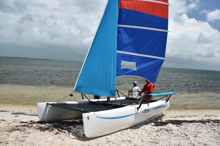 Image 4