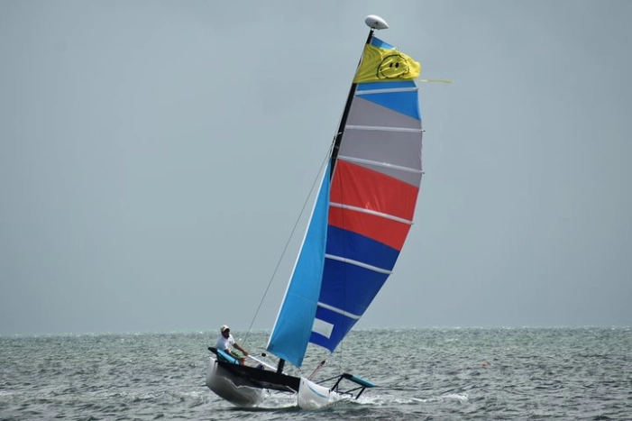Image 5