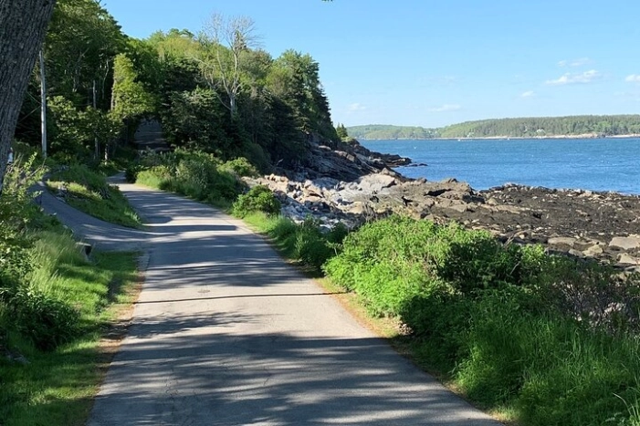 Image 11