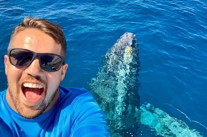 From Maalaea: Whale Watching Tour Aboard the Quicksilver