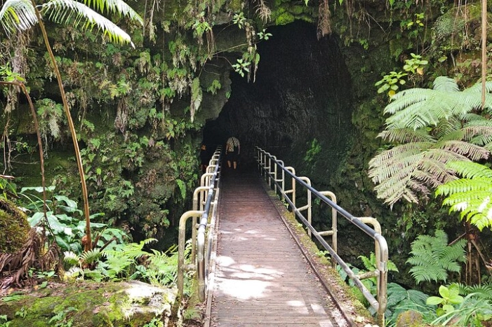Image 12