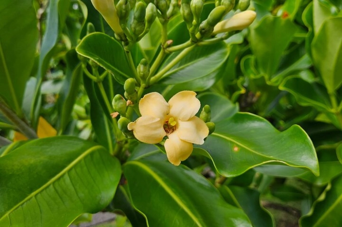 Image 14