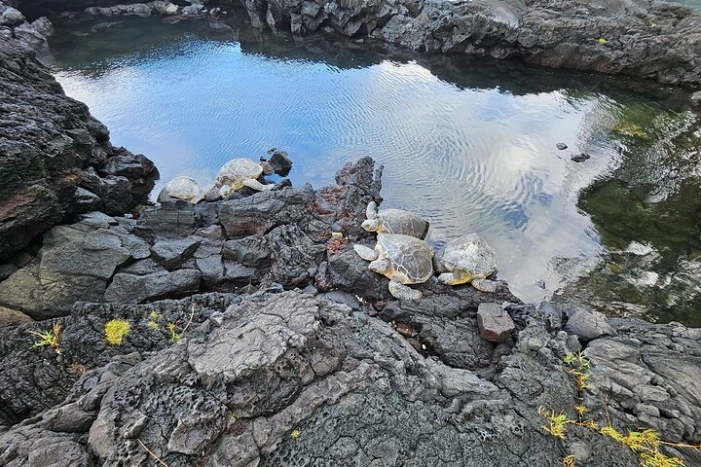 Image 18