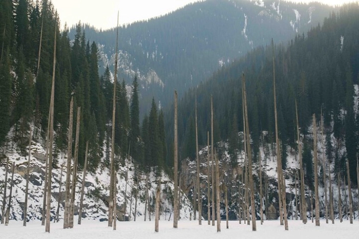 Image 11