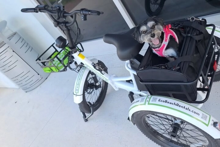 Bike Ride Through Ponte Vedra Beach Private Tour Florida