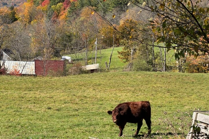 Image 11