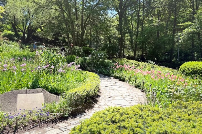 Image 17