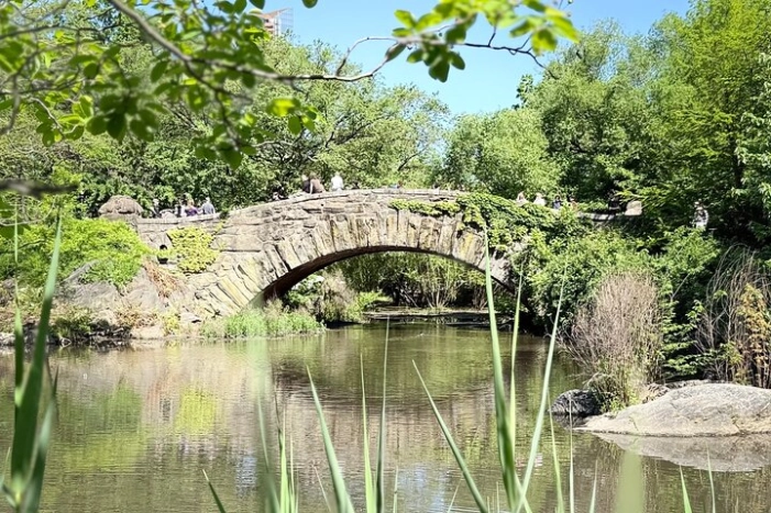 Image 20