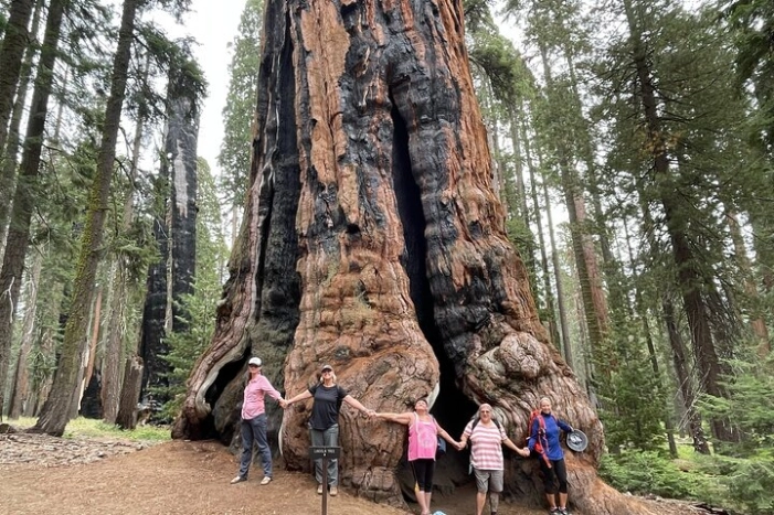 Transformative Outdoor Day Retreat Among the Giant Sequoias
