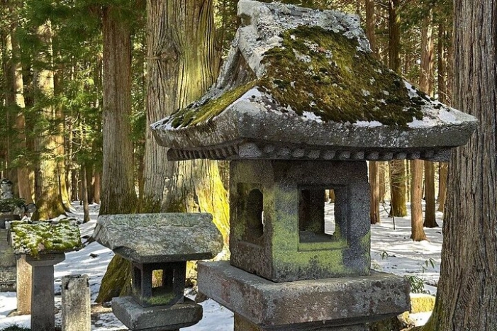 Image 8