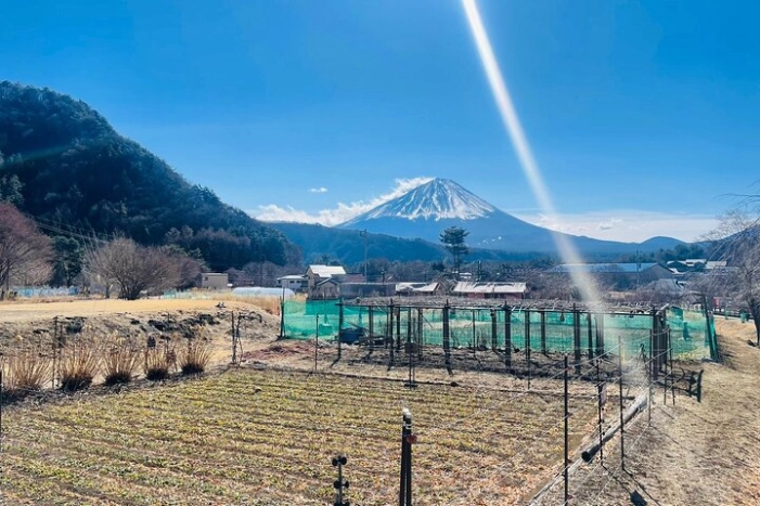 Mount Fuji One Day Private Customizable Tour with English Guide