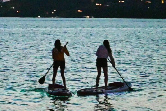 Image 4