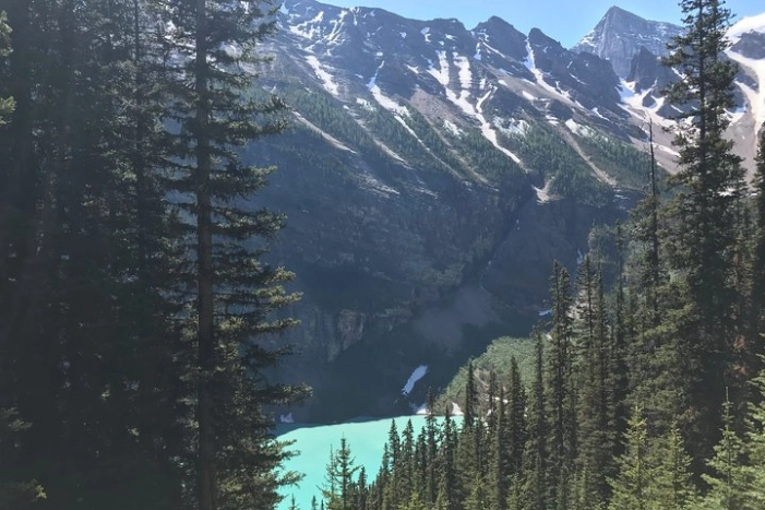 Image 11