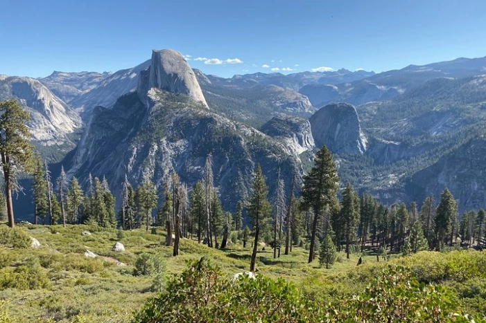 Image 36