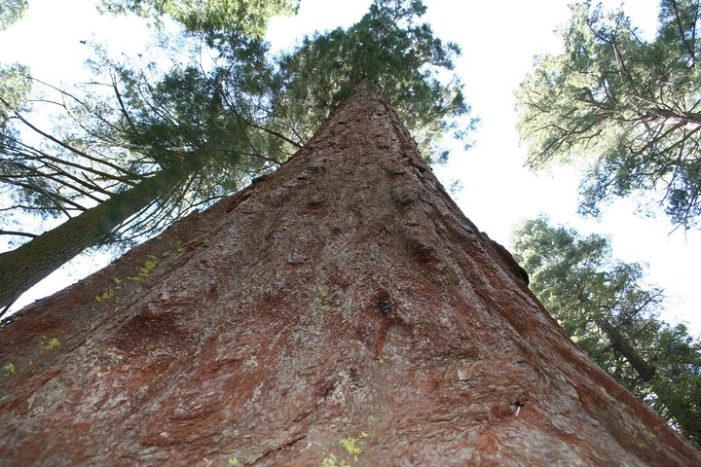 Image 15