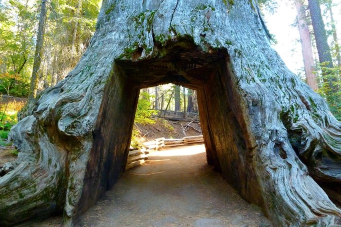Image 14