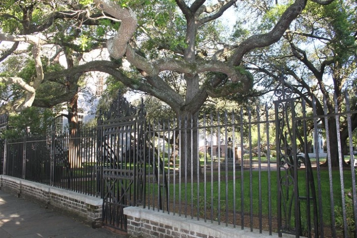 Image 6