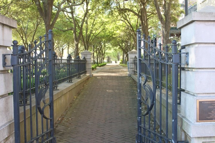 Image 8
