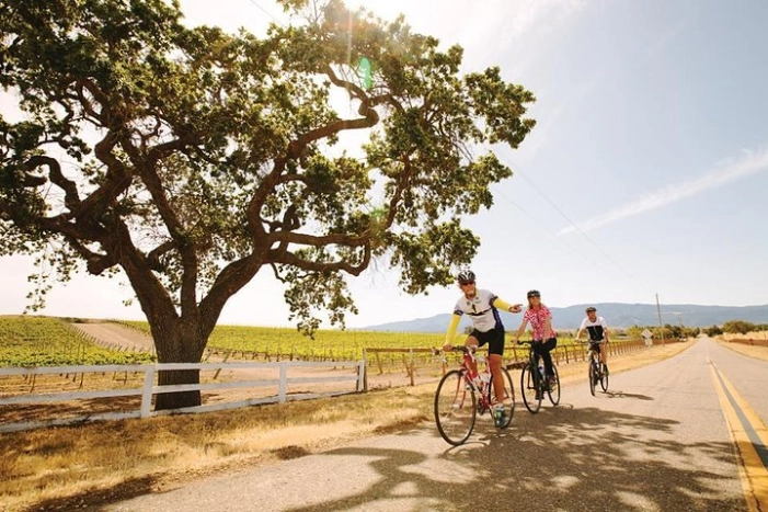 Wine Country Farm to Table Bike Tour w/Lunch