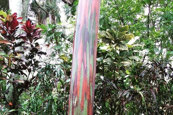 Image 14